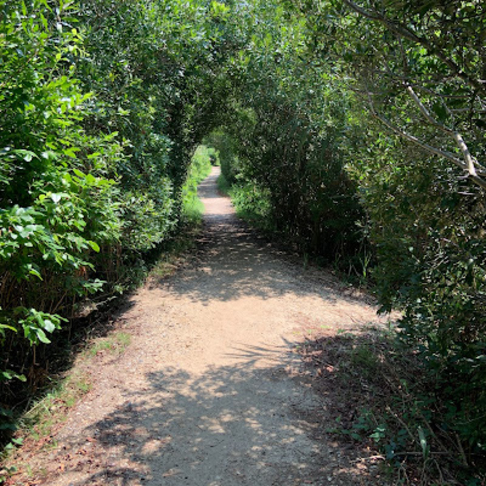 Meet your Posher, Jenne